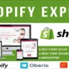 We Will Create Or Design Shopify Website Or Shopify Dropshipping Store (7)