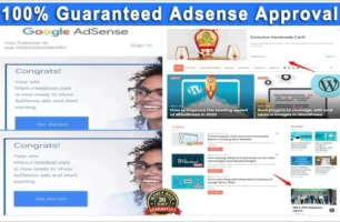 We Will Create Website With 100% Guaranteed Adsense Approval